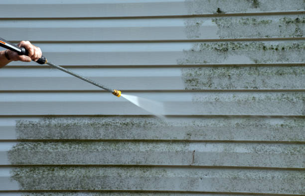 Best Local Pressure Washing Services  in Wheaton, IL