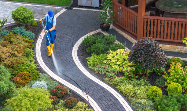 Deck Cleaning Services in Wheaton, IL
